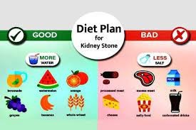 Diet plan for Kidney Stones
